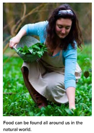 Woman Foraging