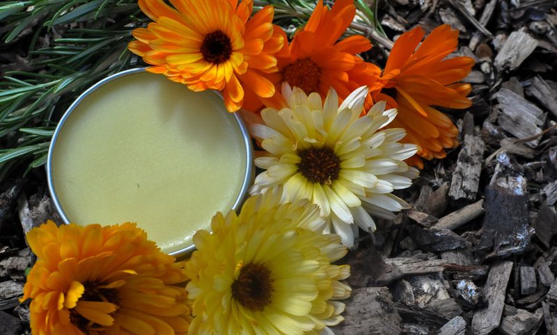 How to Make a Natural Healing Beeswax Salve - Azure Standard