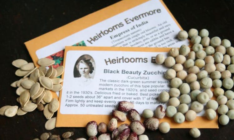 The Difference Between Organic Seeds and Heirloom Seeds - One