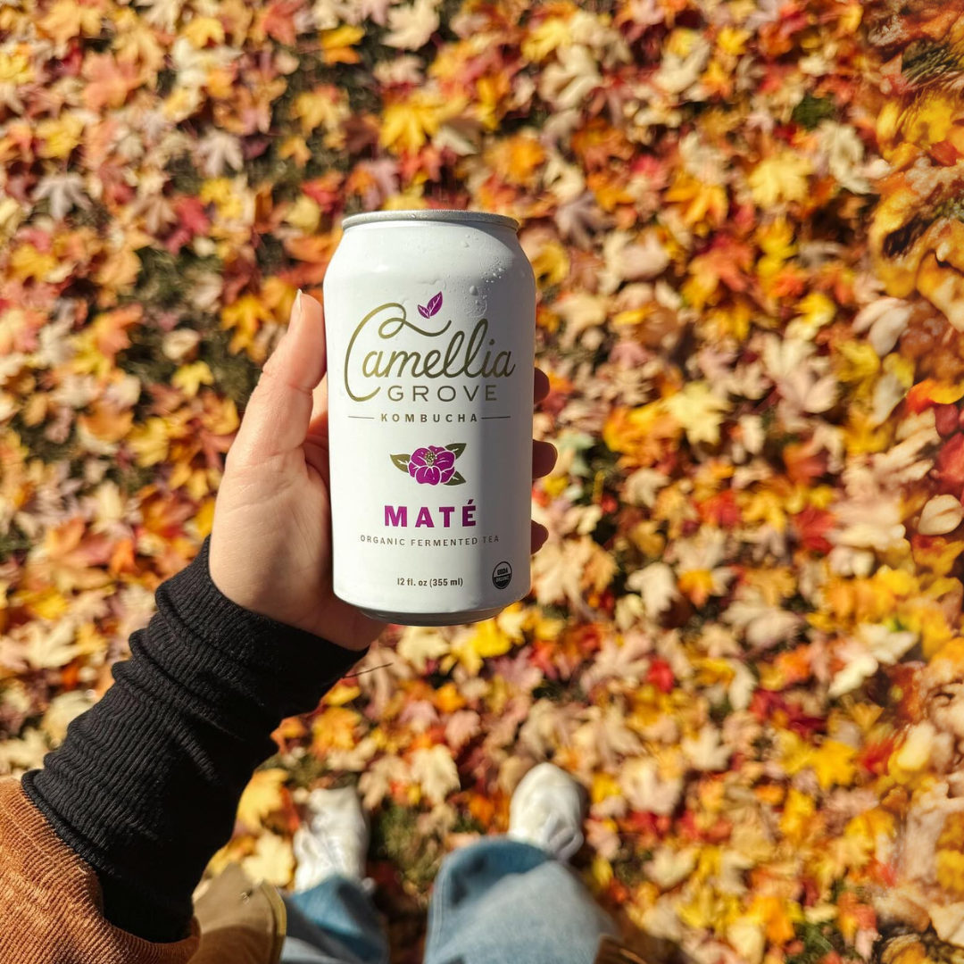 Kombucha with a Twist: Camellia Grove Yerba Mate Kombucha - Azure