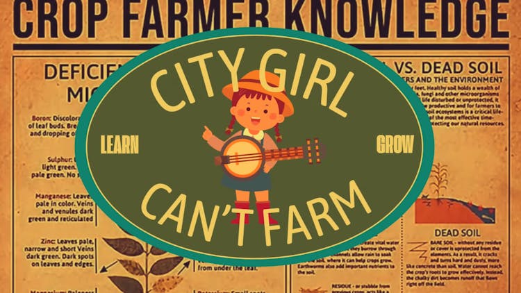 city-girl-cant-farm-azure-series-2025