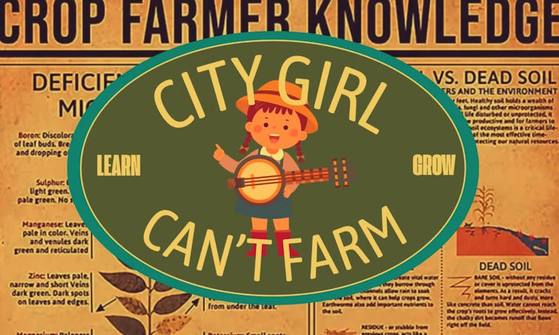 city-girl-cant-farm-azure-series-2025