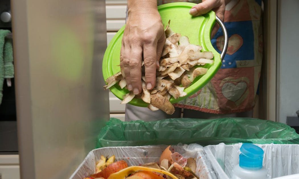 Composting Dos & Don'ts What Types of Waste Can Be Composted Azure