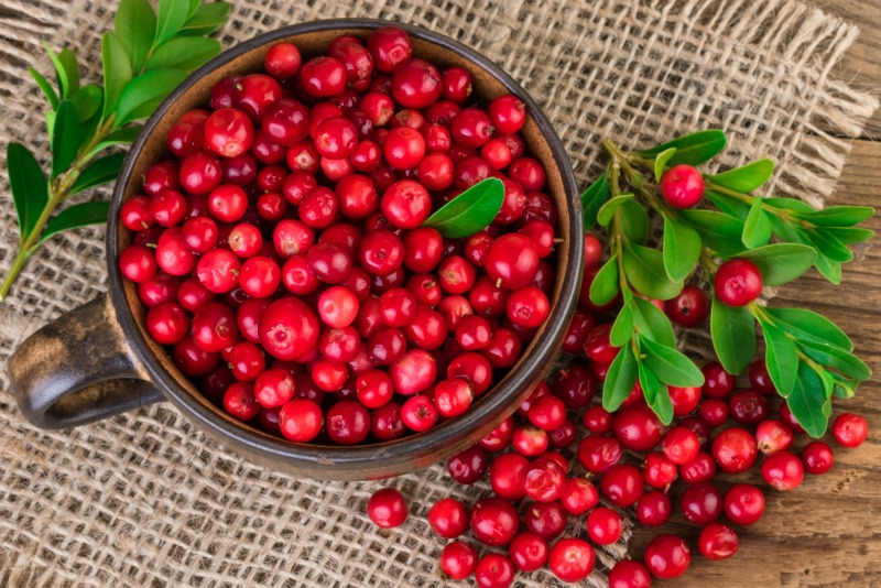 Search results for: “cranberries” - Azure Standard