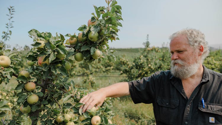 david_stelzer2_azure_picking-apples