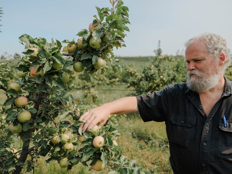 david_stelzer2_azure_picking-apples