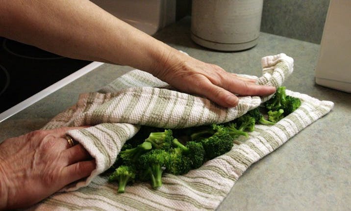 https://azurestandard.imgix.net/cms/drying-broccoli-for-freezer-e1467396591670.jpg?auto=format,compress&w=716