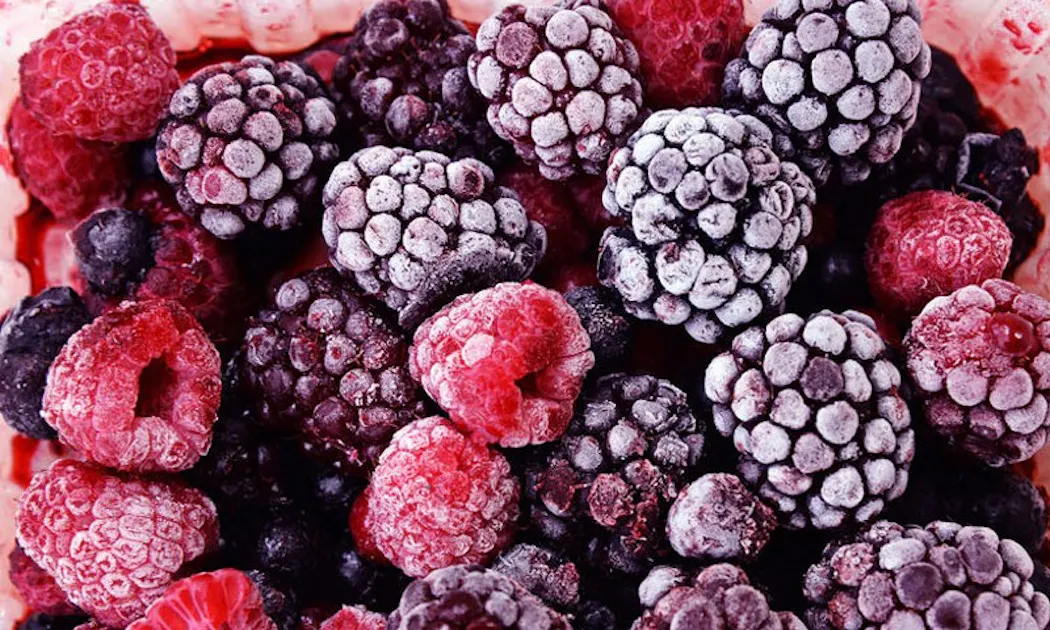 Stahlbush GardenFresh Frozen Fruits and Vegetables Azure Standard