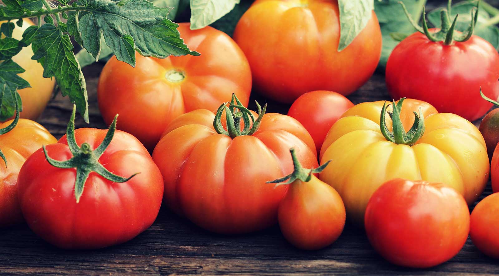 Marinara Sauce Azure Standard