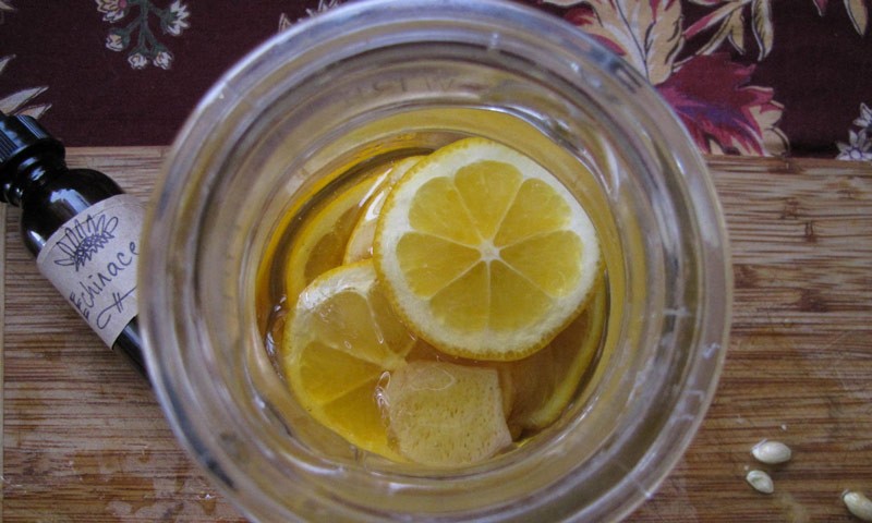 RECIPE HoneyLemonGinger Echinacea Tonic Azure Standard