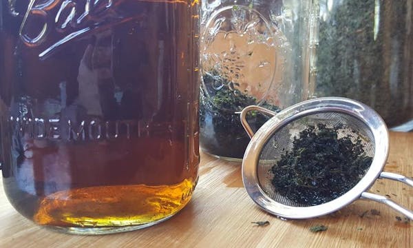 Nettle Infusion — Botanical Formulations