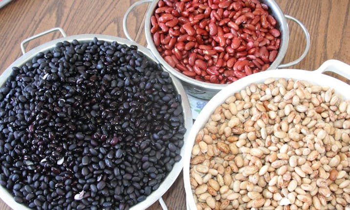 How To Sprout And Soak Beans To Maximize Health Benefits Azure Standard