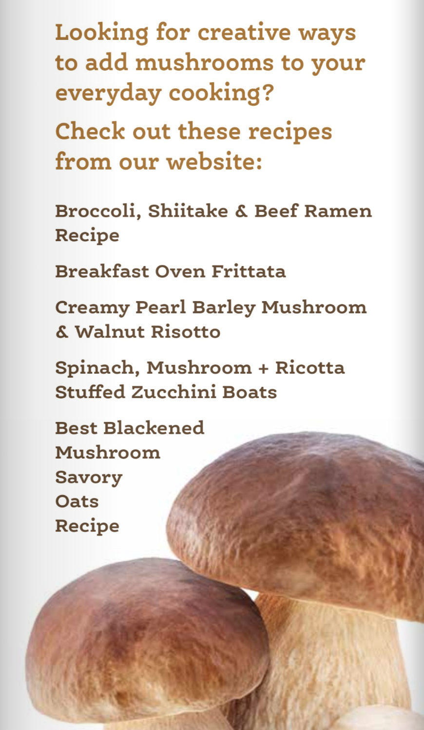 mushroom-benefits-2026