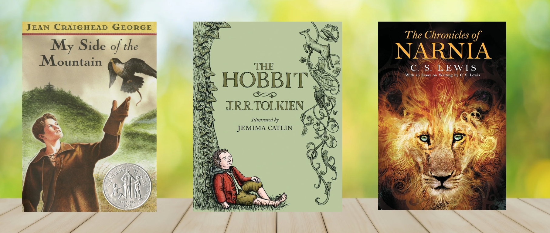 myside-hobbit-chroniclenarnia-books