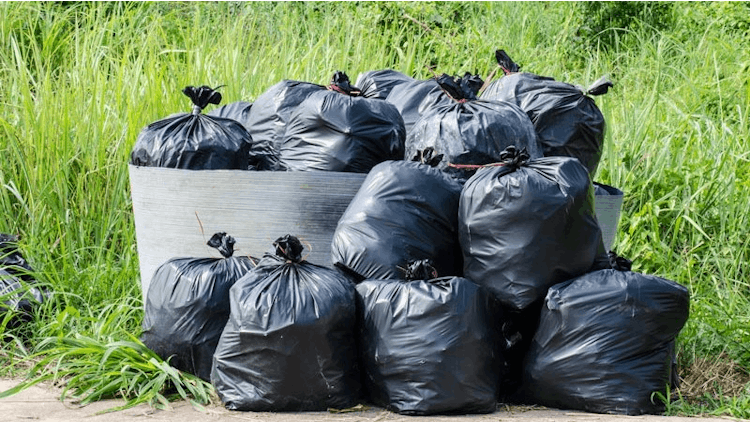 Keep it Sustainable with Natural Value's Recycled Trash Bags - Azure  Standard