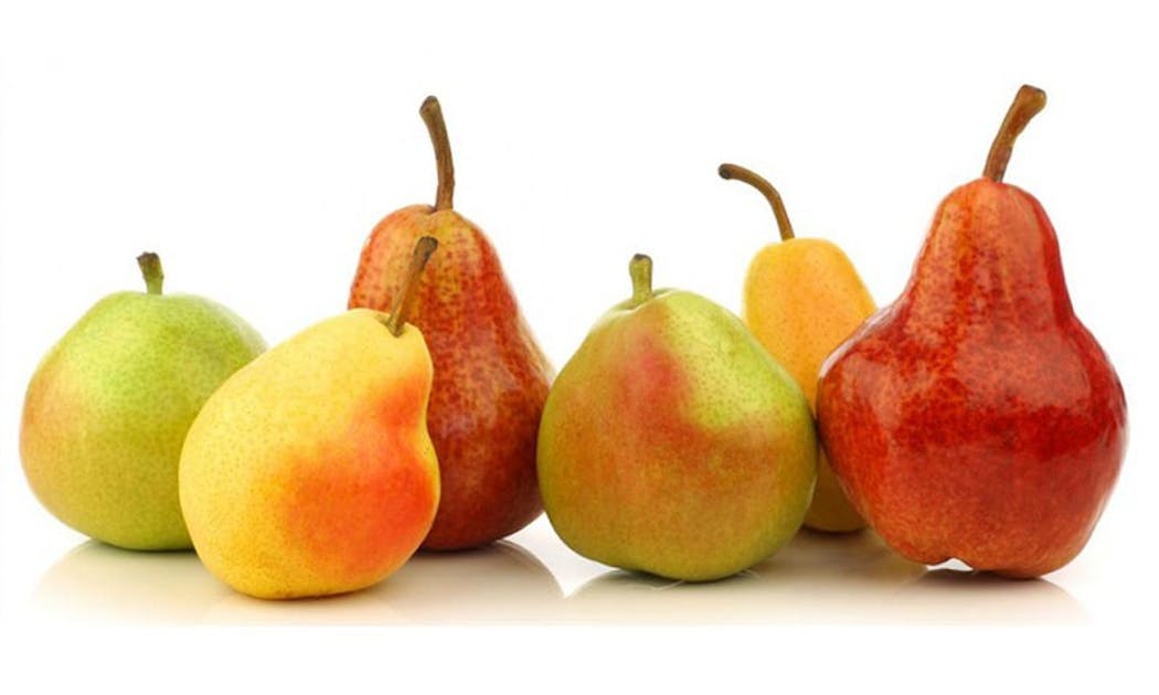 7 Common Types of Pears (Varieties & More) - Extra Helpings