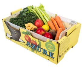 Azure Market Produce Kiwi Fruit, Organic - Azure Standard
