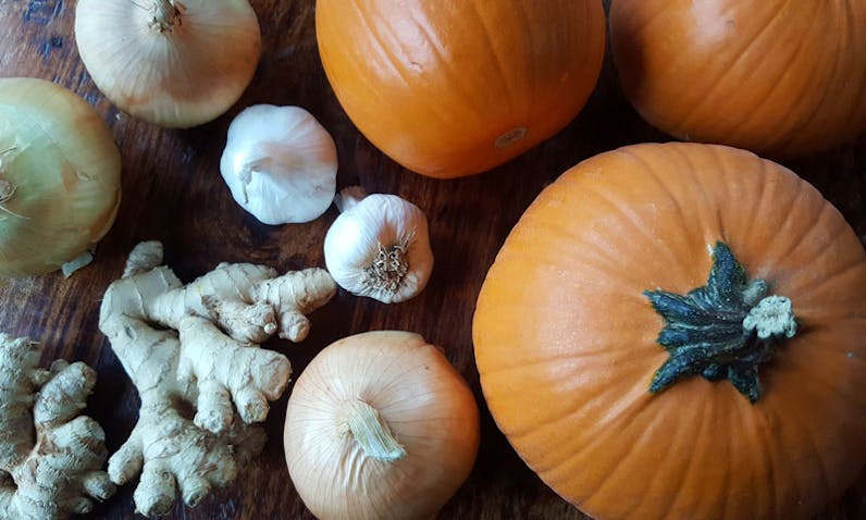 Immune Boosting Pumpkin Curry Soup - A Cultivated Living