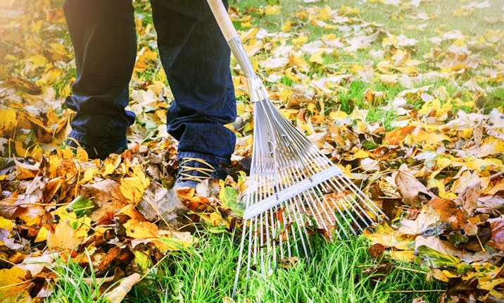 How To Compost at Home and Why It's Beneficial - Azure Standard