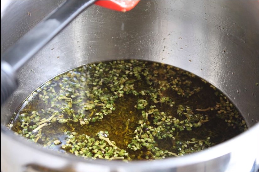 How To Make Your Own CBD Oil - Azure Standard How To Make Your Own CBD Oil - Azure Standard