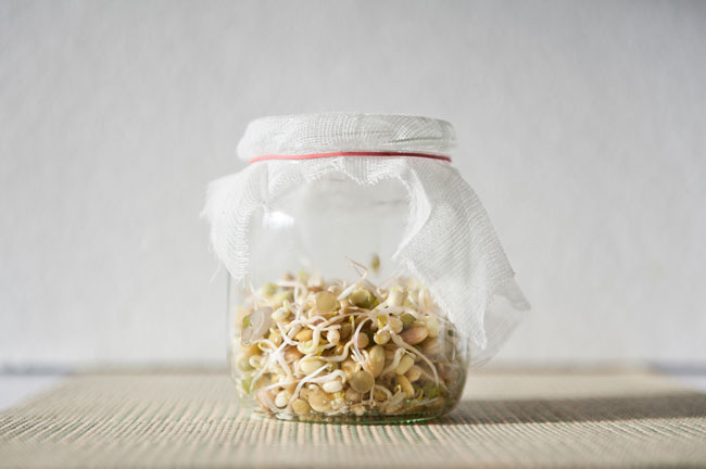 About Sprouts - Azure Standard