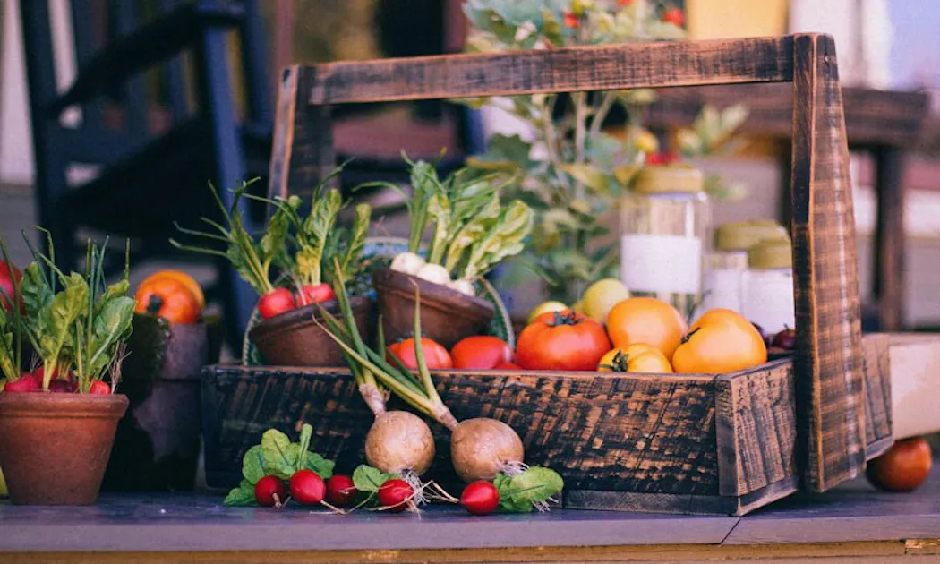 Azure Husbandry Organic Garden Seeds for the Homestead Azure Standard