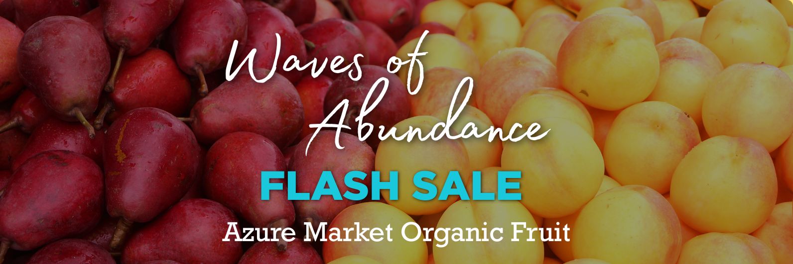 フルーツA JUNE Wave of Abundance Sale | Azure Market Organic Fruit Edition