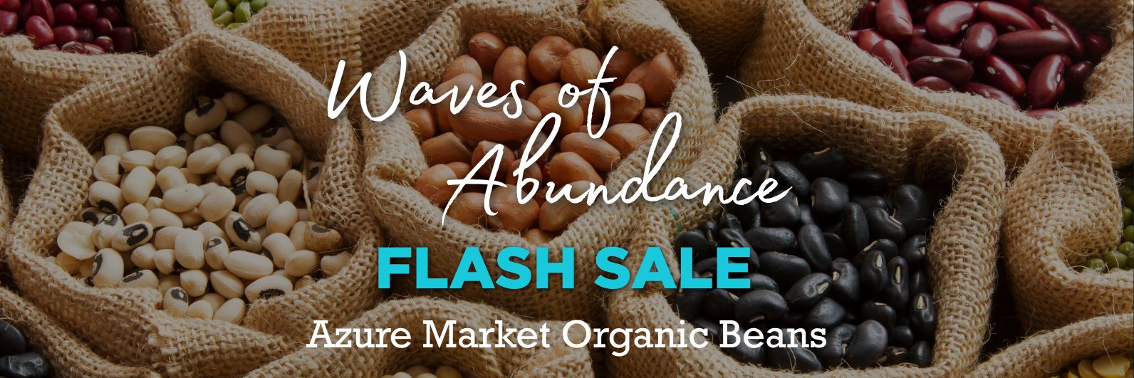 JUNE Wave of Abundance Sale | Azure Market Organic Beans - Azure