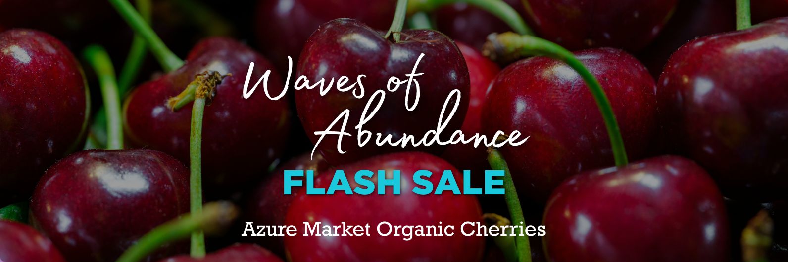 JULY Wave of Abundance Sale | Azure Market Cherry Galore - Azure