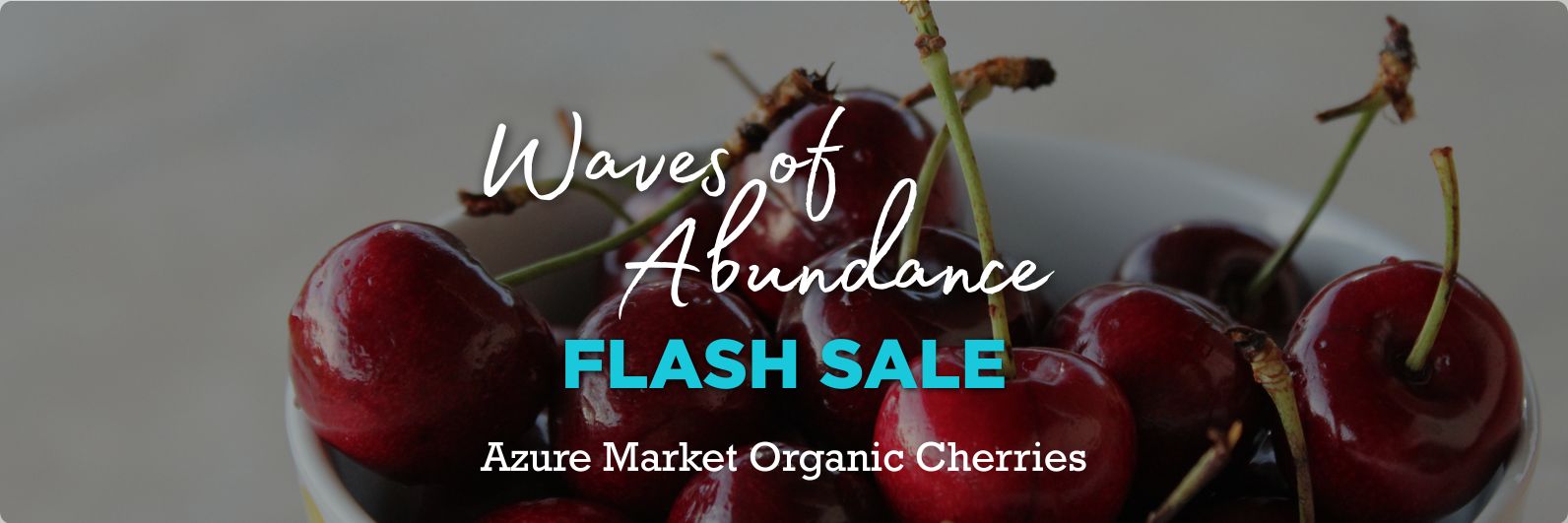 JULY Wave of Abundance Sale | Azure Market Cherry Galore - Azure